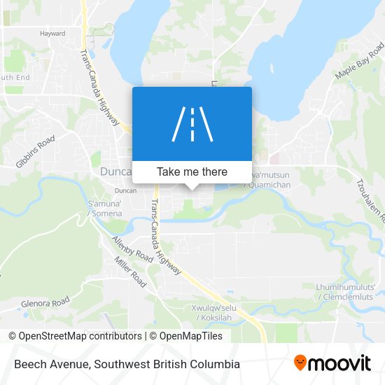 Beech Avenue map