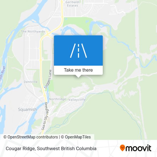 Cougar Ridge plan