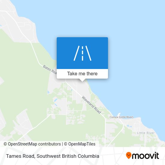 Tames Road map