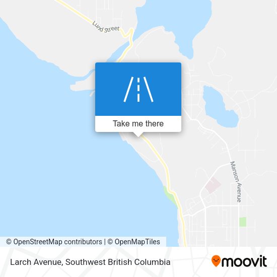 Larch Avenue plan