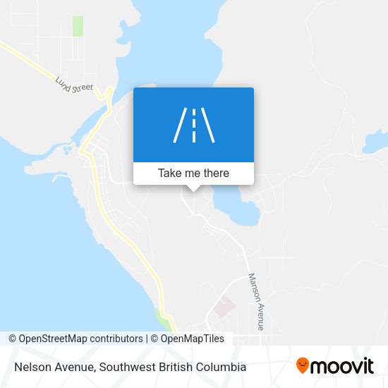 Nelson Avenue map