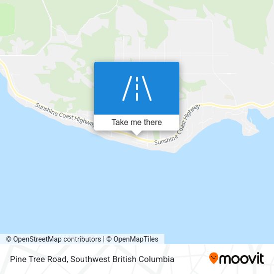Pine Tree Road plan