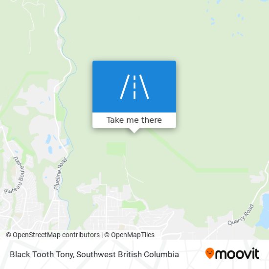 Black Tooth Tony plan
