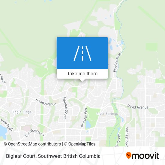 Bigleaf Court map