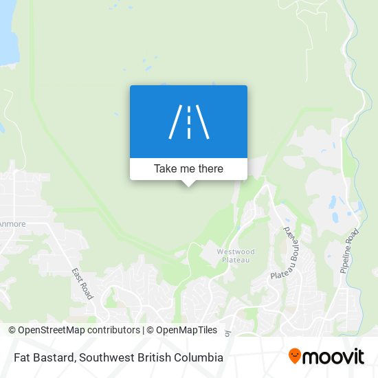 Fat Bastard plan
