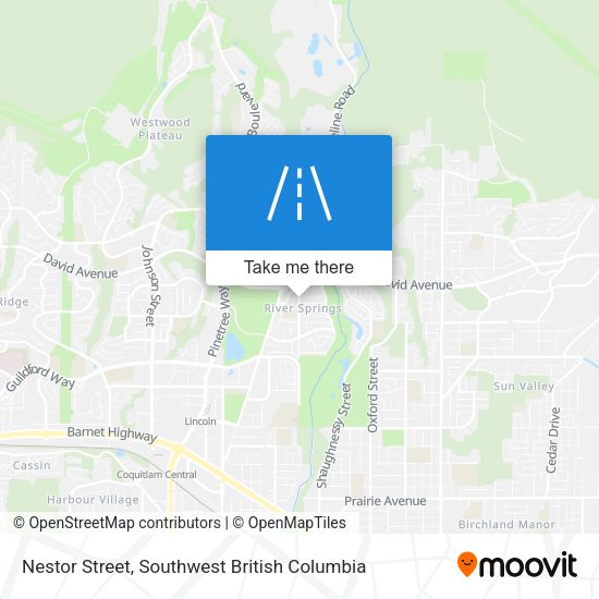 Nestor Street map