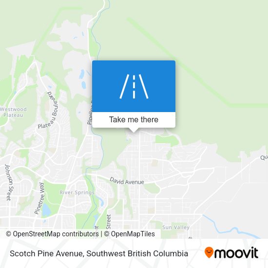 Scotch Pine Avenue map