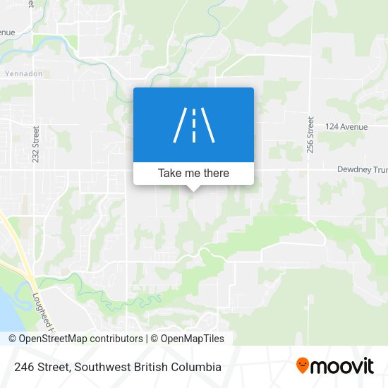 246 Street map