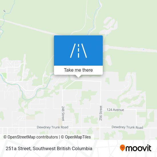 251a Street map