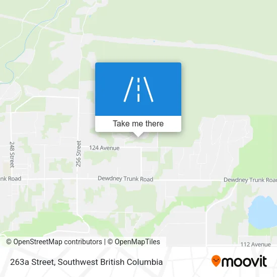 263a Street map