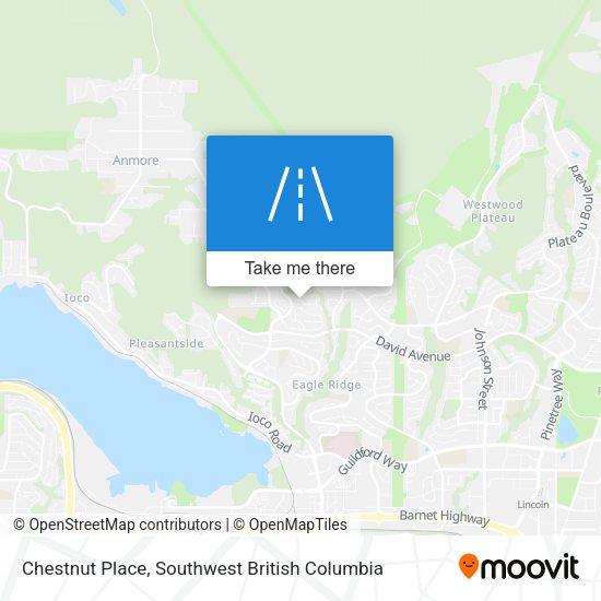 Chestnut Place plan