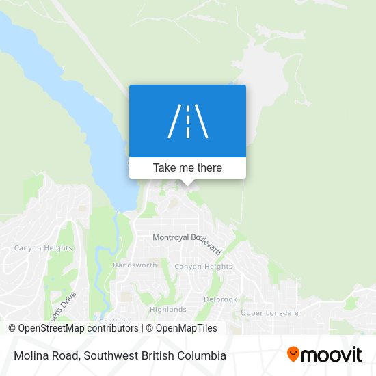Molina Road map