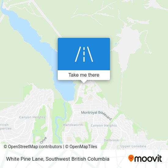 White Pine Lane plan