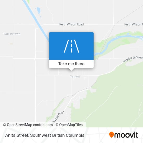 Anita Street map