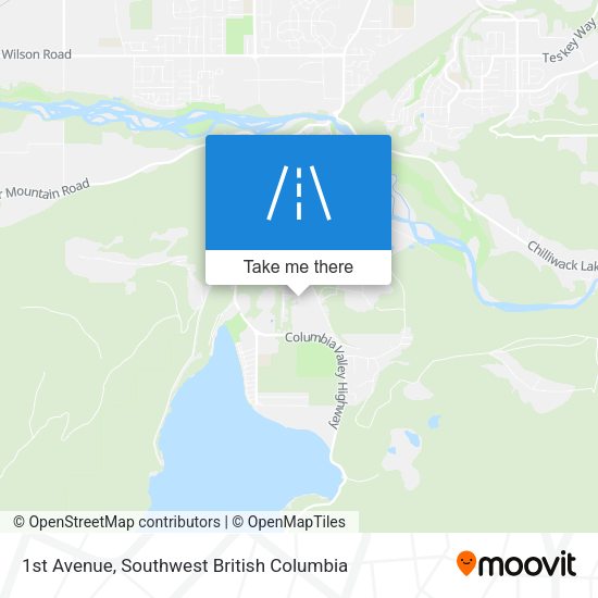 1st Avenue map