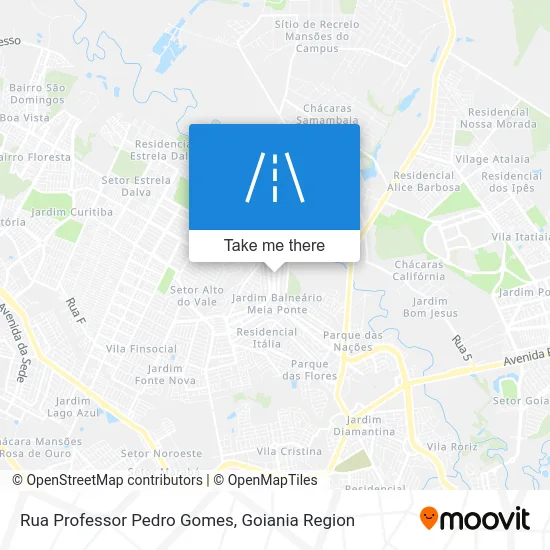 Rua Professor Pedro Gomes map