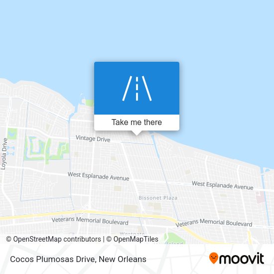Cocos Plumosas Drive map