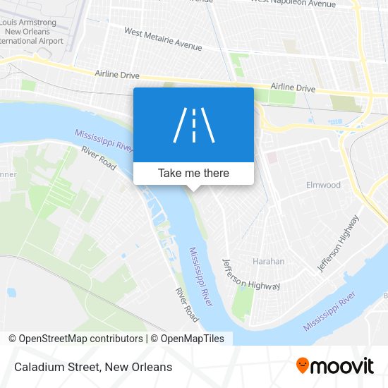 Caladium Street map