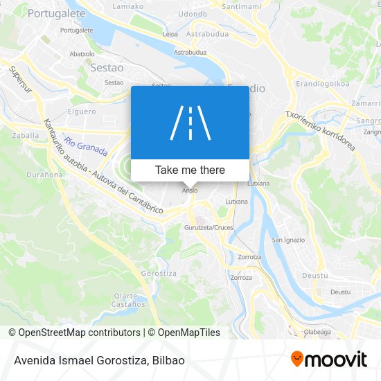 Avenida Ismael Gorostiza map