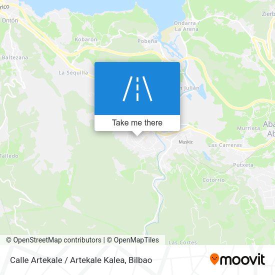 Calle Artekale / Artekale Kalea map