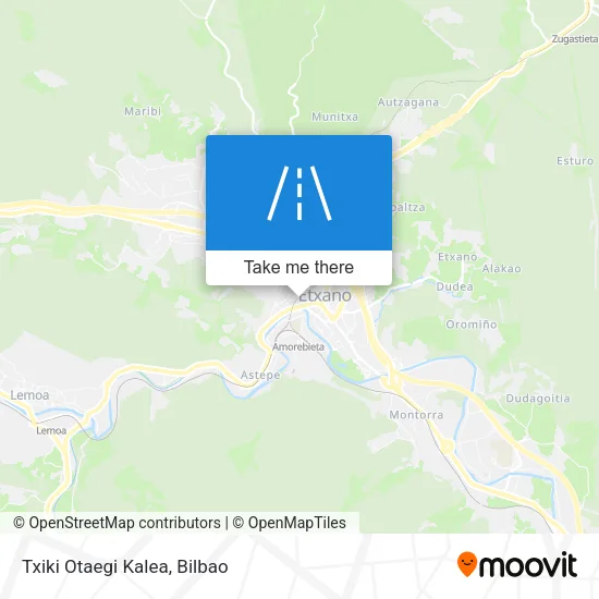 Txiki Otaegi Kalea map