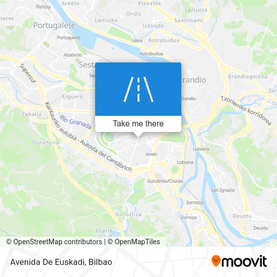 Avenida De Euskadi map