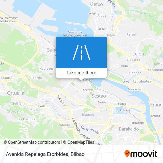 Avenida Repelega Etorbidea map