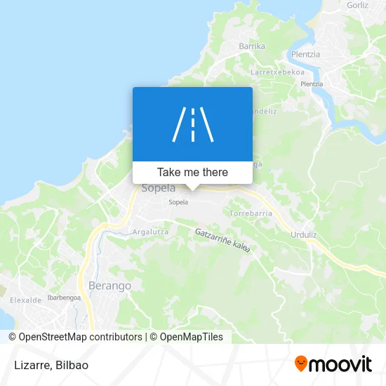 Lizarre map