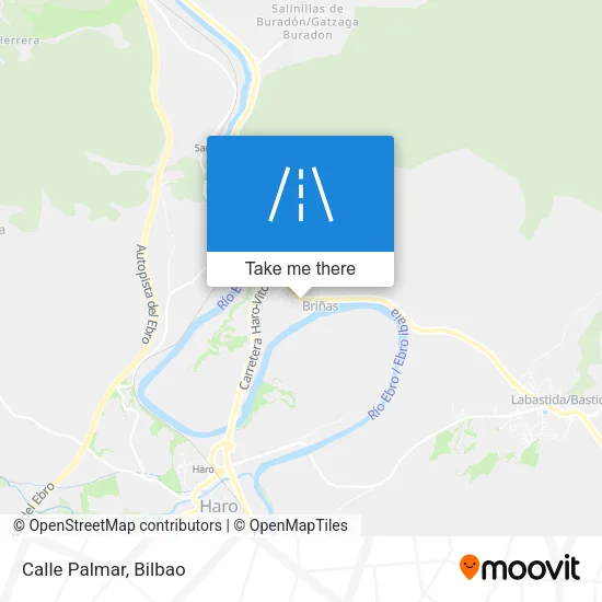 Calle Palmar map