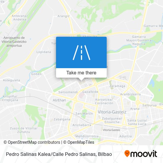 Pedro Salinas Kalea / Calle Pedro Salinas map
