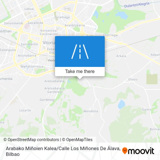 Arabako Miñoien Kalea / Calle Los Miñones De Álava map