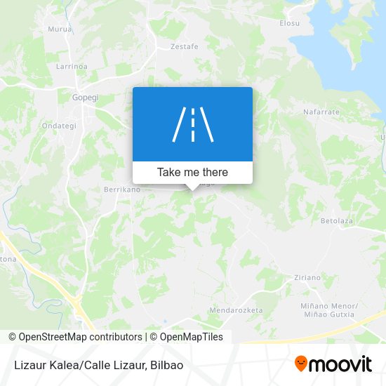 Lizaur Kalea/Calle Lizaur map