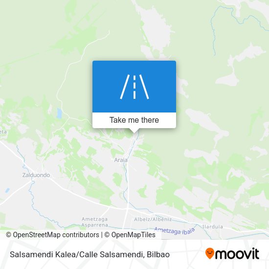 Salsamendi Kalea / Calle Salsamendi map