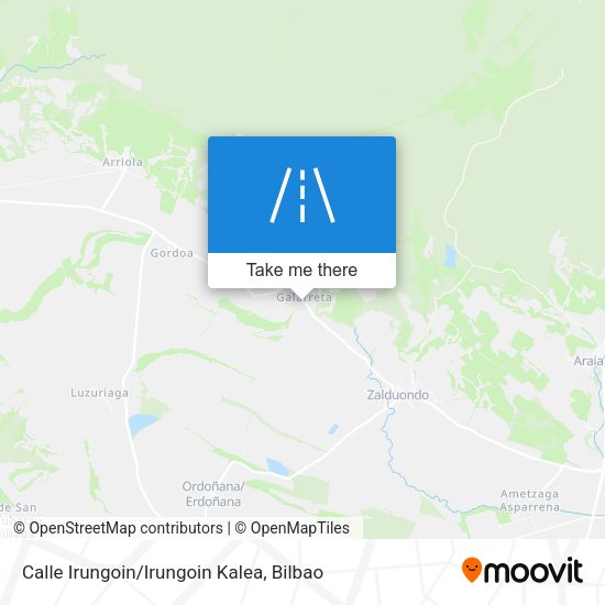 Calle Irungoin/Irungoin Kalea map