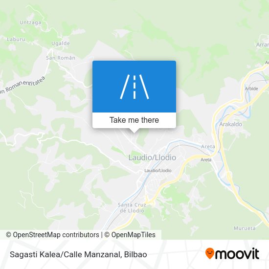 Sagasti Kalea/Calle Manzanal map