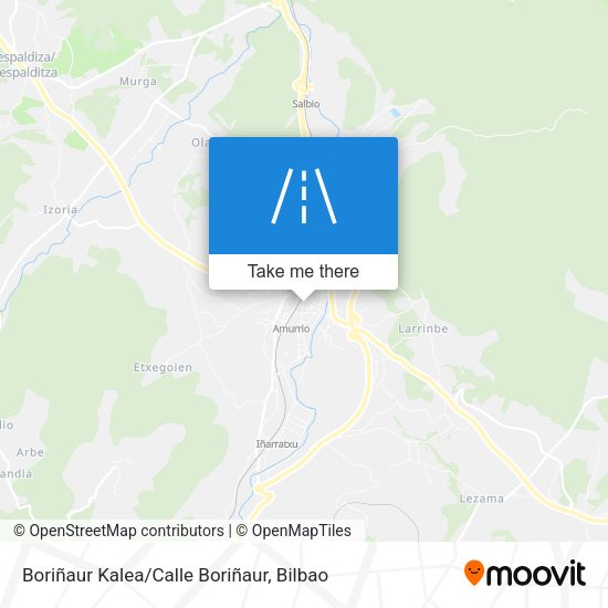 Boriñaur Kalea/Calle Boriñaur map