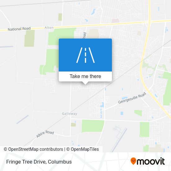 Mapa de Fringe Tree Drive