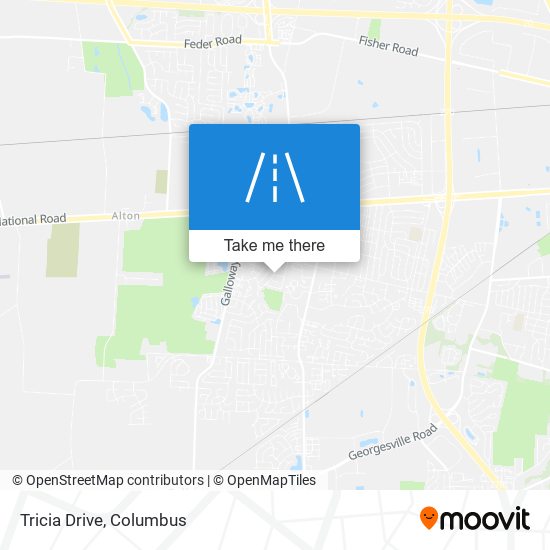 Tricia Drive map