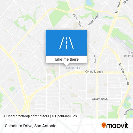 Mapa de Caladium Drive