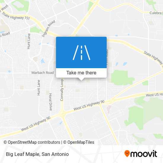 Mapa de Big Leaf Maple