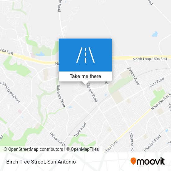 Birch Tree Street map