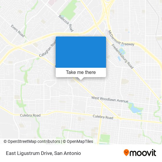 Mapa de East Ligustrum Drive