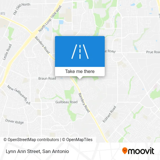 Lynn Ann Street map
