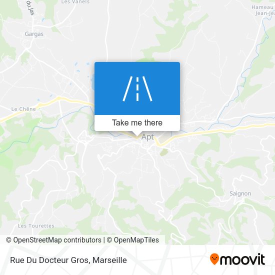 Rue Du Docteur Gros map