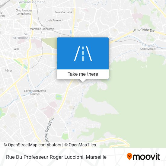 Rue Du Professeur Roger Luccioni map
