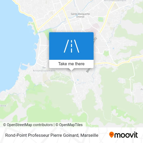 Rond-Point Professeur Pierre Goinard map