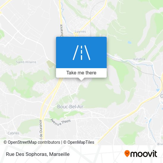 Rue Des Sophoras map