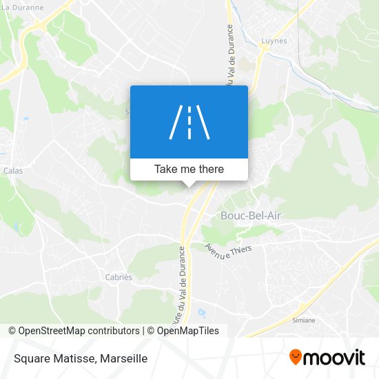 Square Matisse map