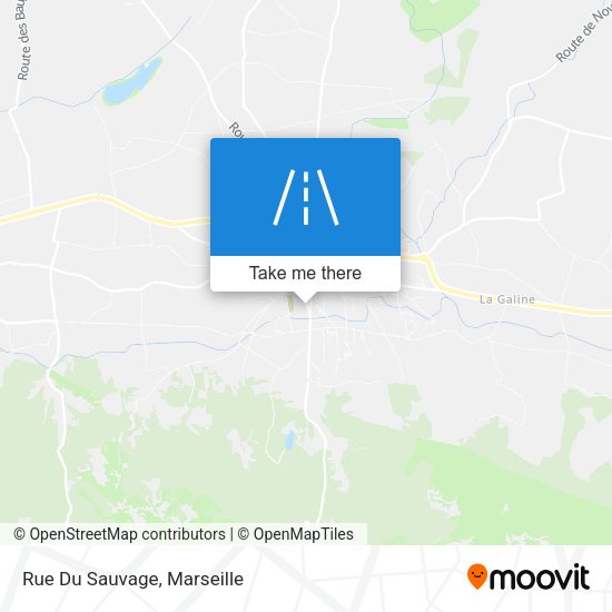 Rue Du Sauvage map