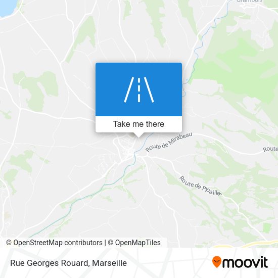 Rue Georges Rouard map